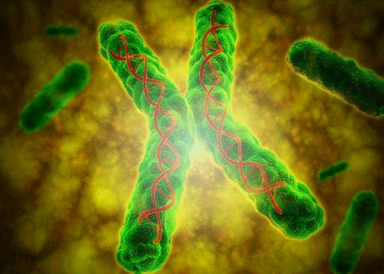 人類本來不適合喝牛奶？ 科學家詳解，乳糖耐受基因改變了人類歷史