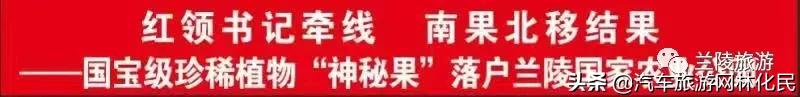 南果北移结果—国宝级珍稀植物“神秘果”落户兰陵农业公园