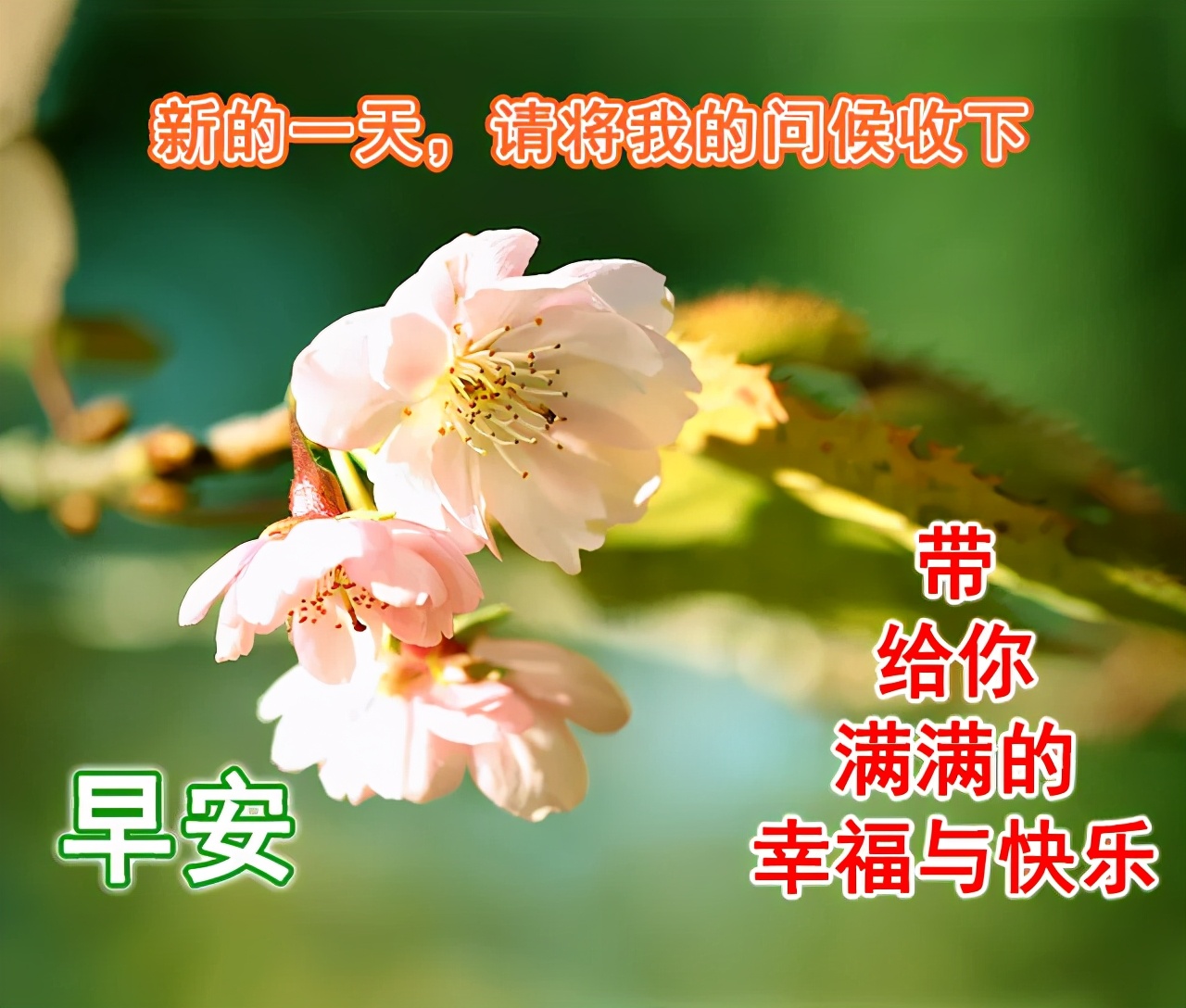 温馨的問候語清晨問候朋友的早安祝福語美圖 金峯之約 Mdeditor