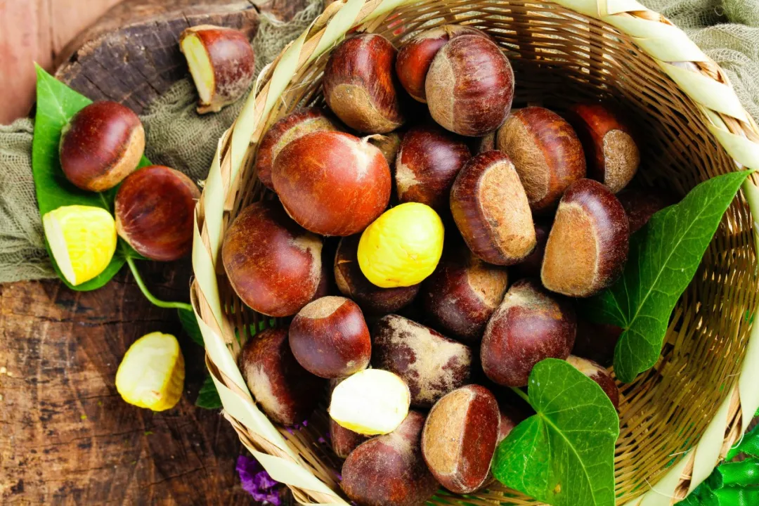 板栗全身都是宝，这样吃美味又健康