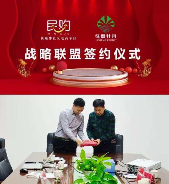 鼠姑网｜烟台自贸区副书记杨城一行莅临绿盟牡丹考察调研