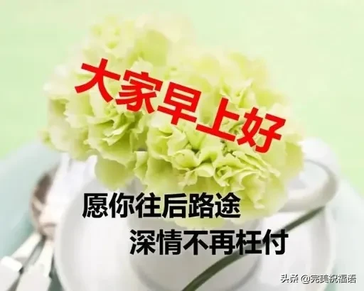早上好唯美暖心问候语 早安祝福语漂亮图片图片