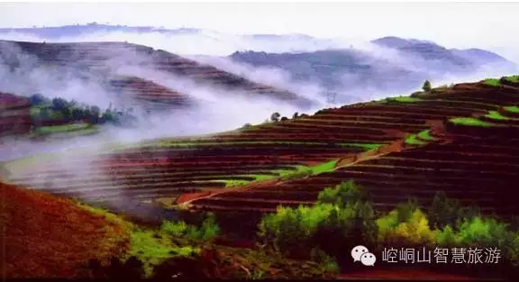 【庄浪县】初秋时节来庄浪，看百万亩梯田绝美风光！