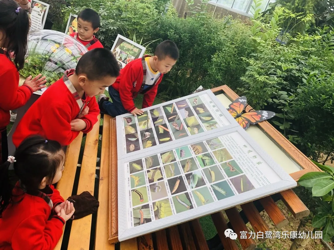 「活動回顧」:富力白鷺灣樂康幼兒園親子社會實踐活動走進新未來