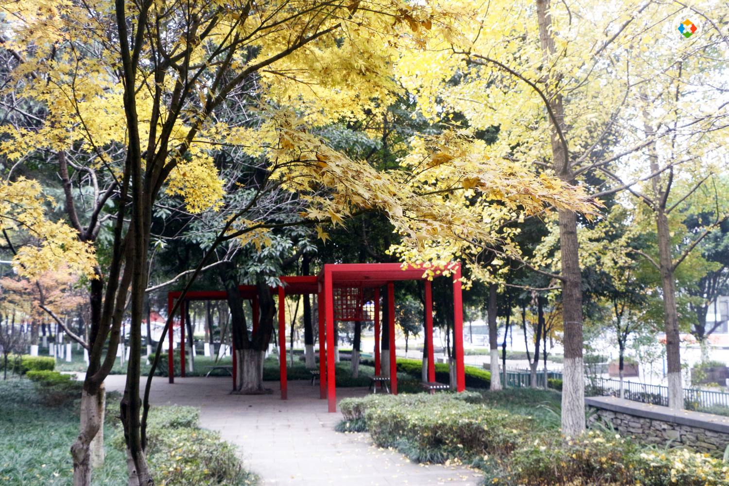 重庆大坪七牌坊的牌坊在哪里？只有19块石碑，还被藏在闹市中心