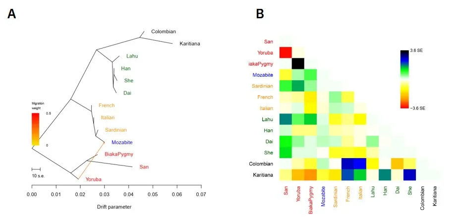 使用Treemix软件进行基因流分析简介