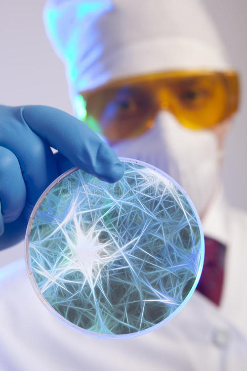 盤點“模仿”大自然發明出的，9種新型仿生學