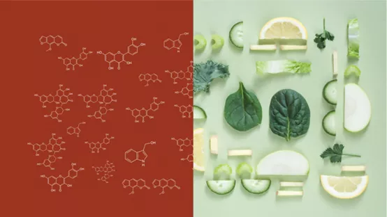 AI设计“超级食物”：可能有助于预防癌症