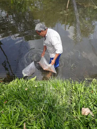 “毒國”哥倫比亞靠養(yǎng)殖羅非魚，對抗毒品和貧困