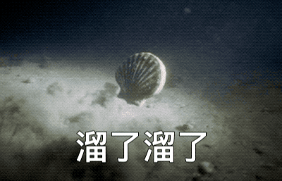 今年，扇贝今年又双叒跑了