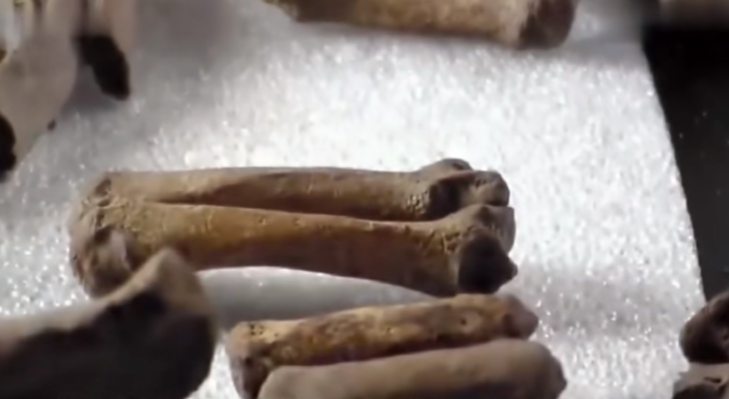 考古界不敢公开的秘密，史前“巨人族”真的存在吗？