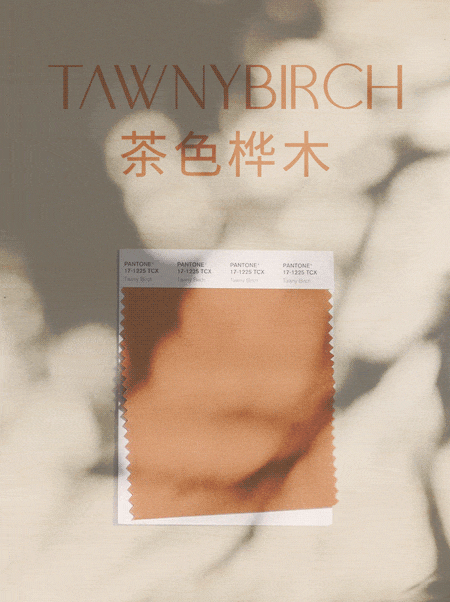 火爆的流行颜色，这样穿搭既时尚又美
