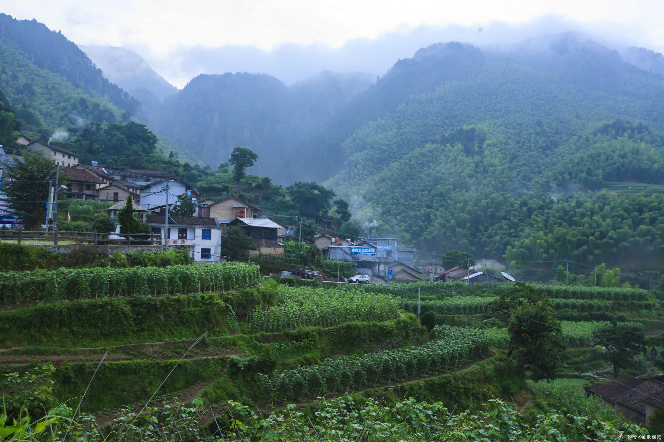 山水桃源清美景，养人眼目动心弦。