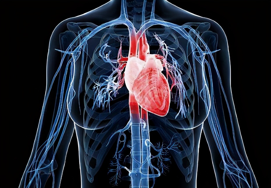 這些難以見到的奇葩冷星空体育官网入口网站，肯定有你之前不了解的
