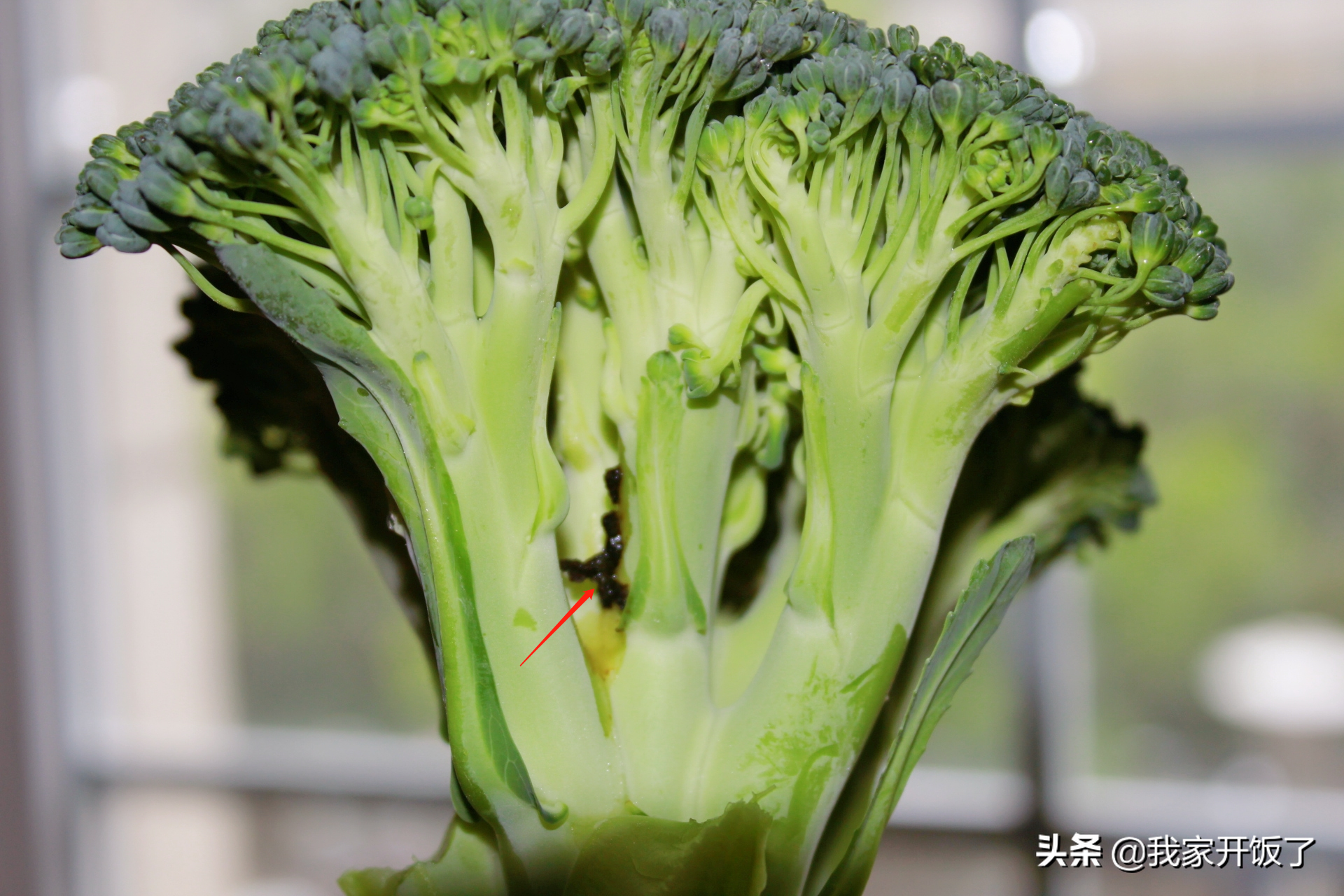 教你如何正確挑选和清洗西蘭花，很實用