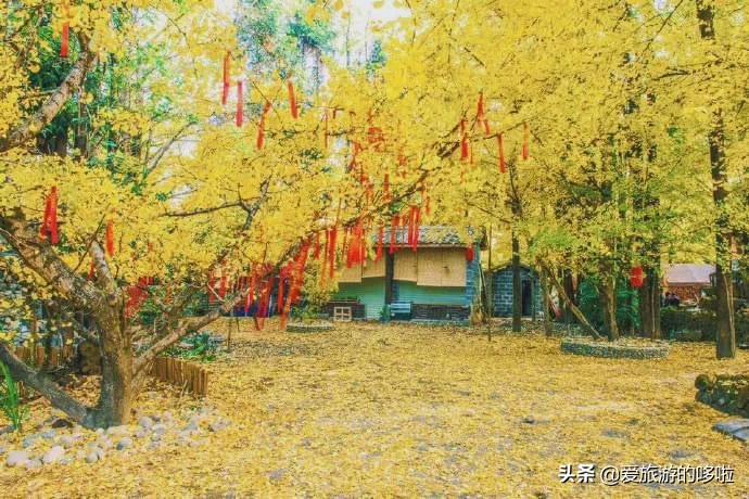 The best place to travel in October-November, the late autumn tour bus is about to depart