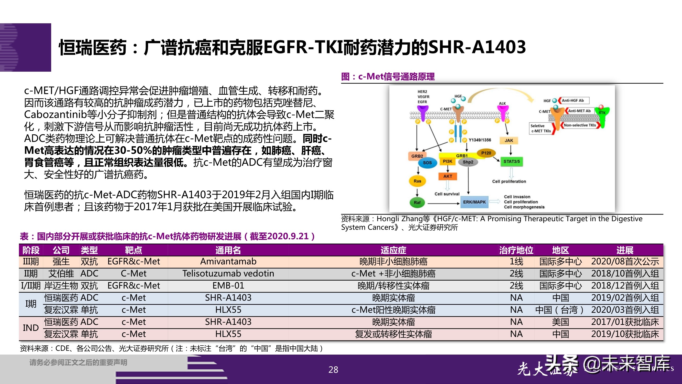 抗体偶联药物ADC投资研究：行业风起云涌，差异化竞争是关键