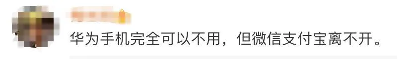 微信和支付宝,迎来了超强对手