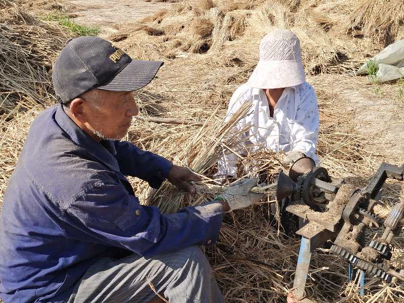 稻草|摄影师用镜头记录稻草帘、草绳制作全过程