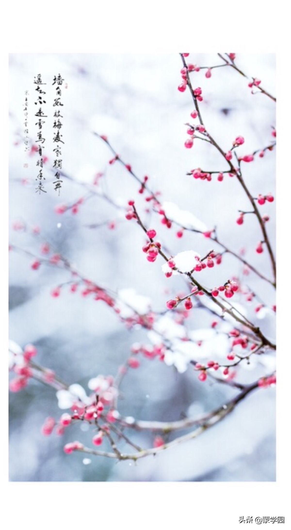 春夏秋冬诗词名句，绝佳的作文积累，收藏起来！-第7张图片-非凡网