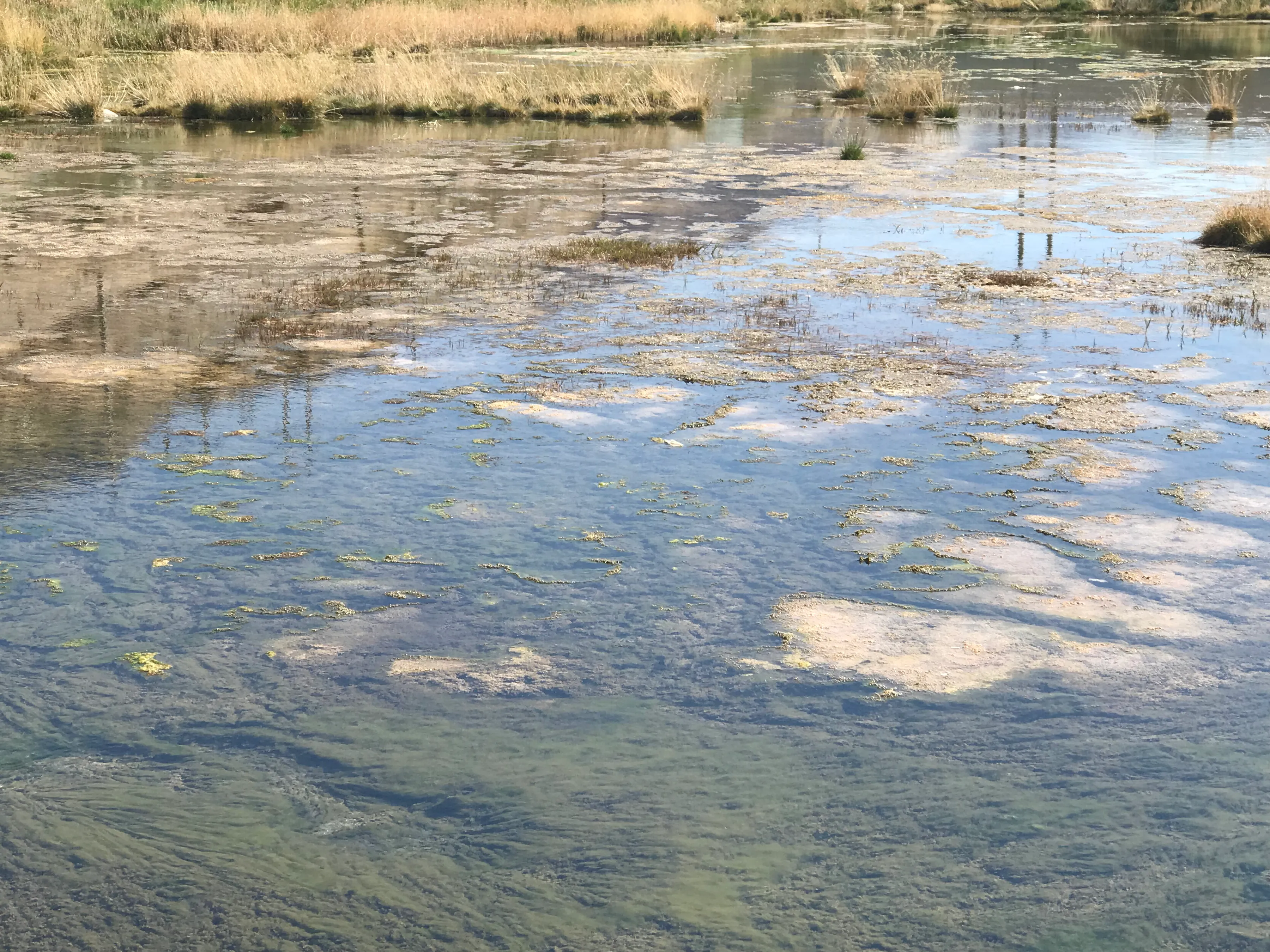 Colorful Qaidam (6) Golmud