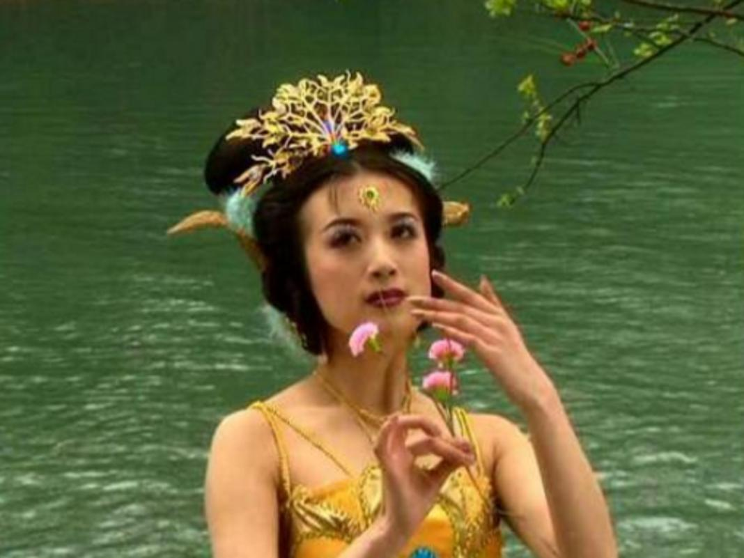 可怜之人必有可恨之处，“总裁夫人”金巧巧的上位失婚史
