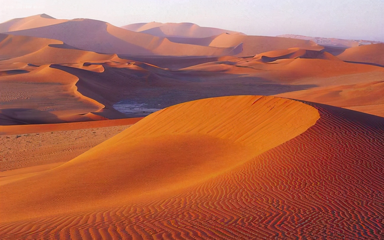 ����ɳ��������ۣ�Ϊ���ҹ�����ɳĮ��ɳ�ӣ�����Ҫ�߼۽��ڣ�