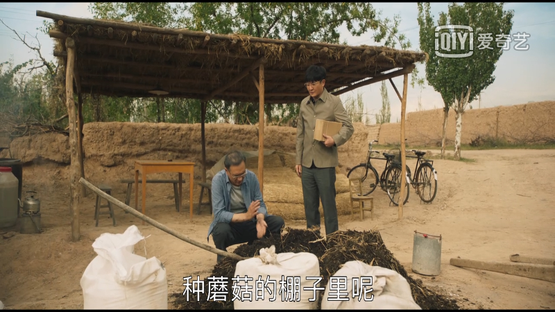 专家|山海情：菌草专家凌一农教授让人感动 角色原型真了不起