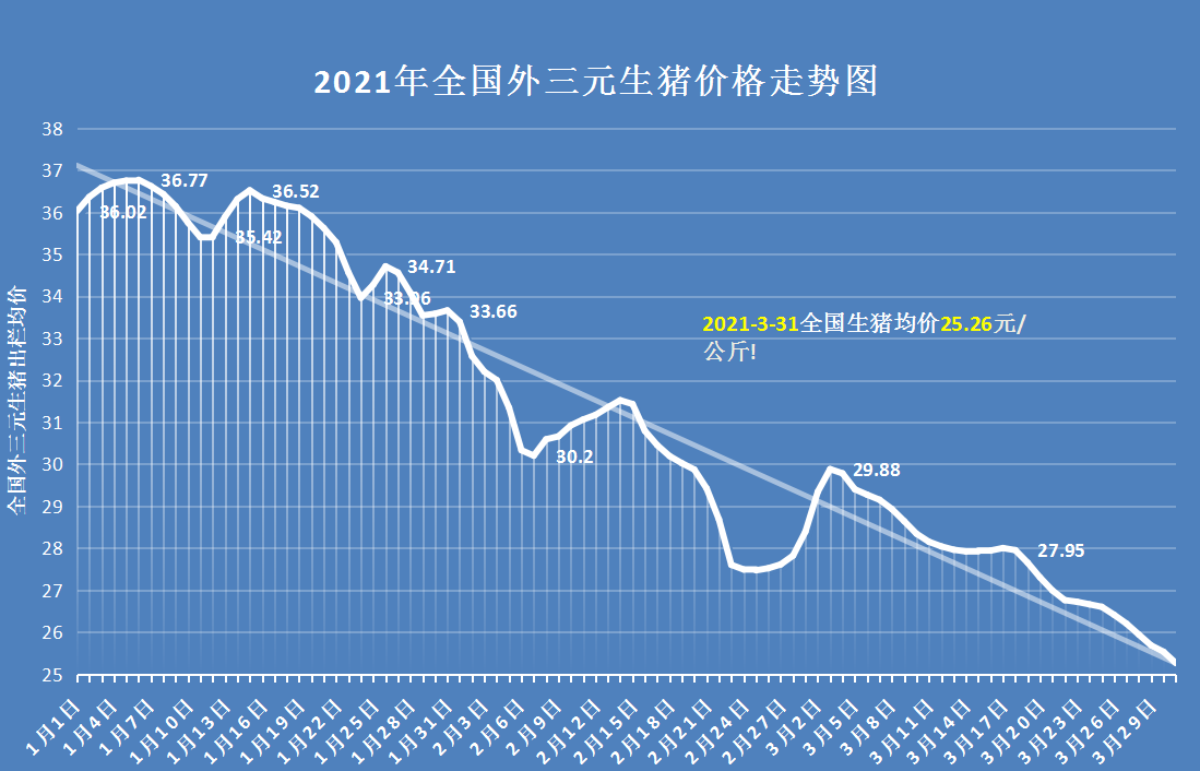 豬價跳水東北是重災區4月豬價有變跌綠到底行情預測來了