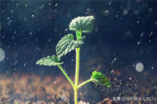 梅雨期长江中下游或出现较重汛情！具体会影响