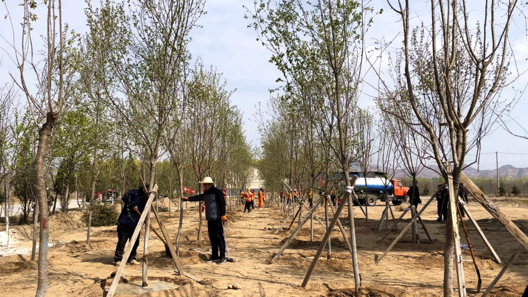 西固区：共植民族团结树 共享生态环境美
