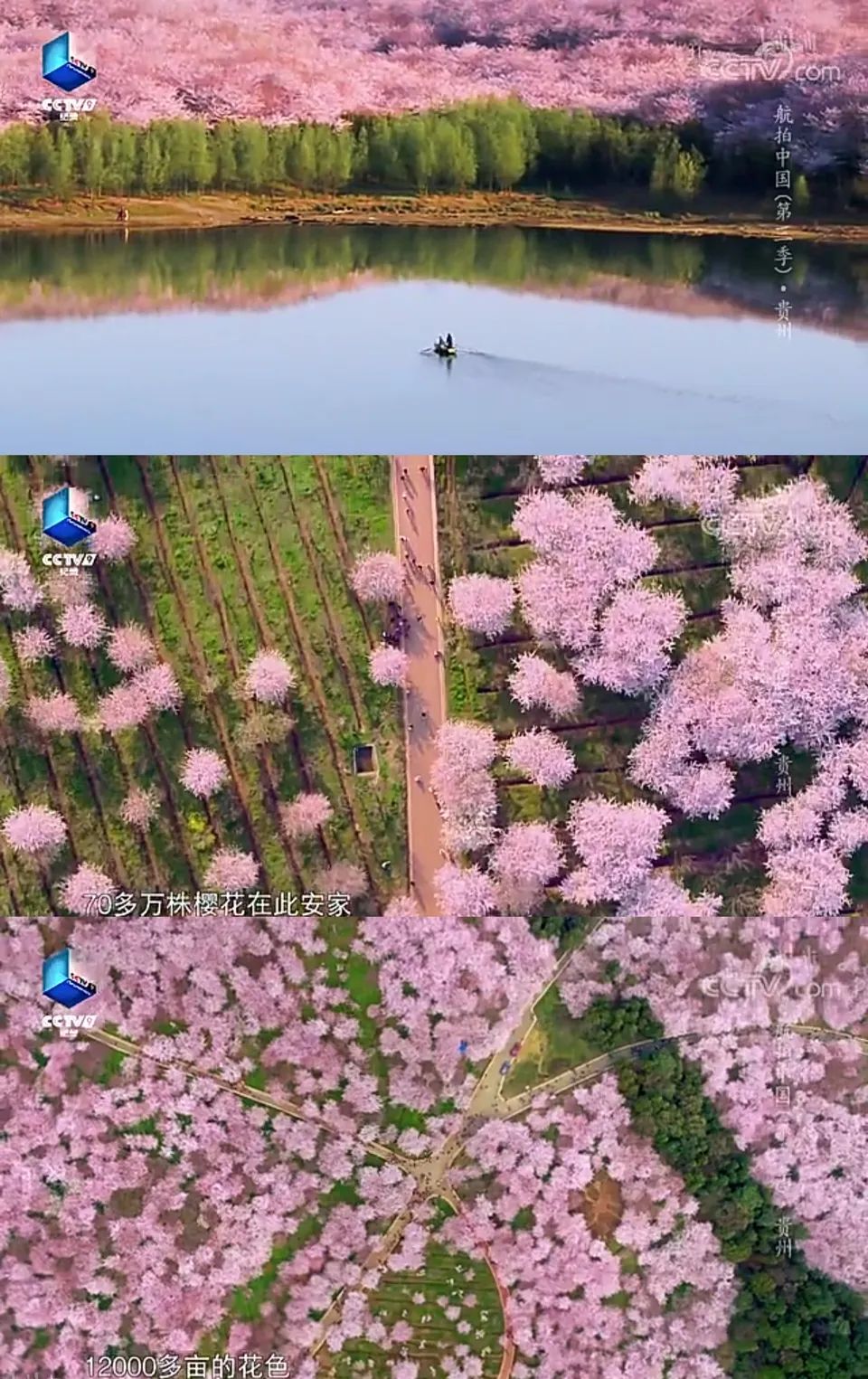 从锦绣山河到人间烟火，《航拍中国》第三季呈现别样“飞越”| 研讨会