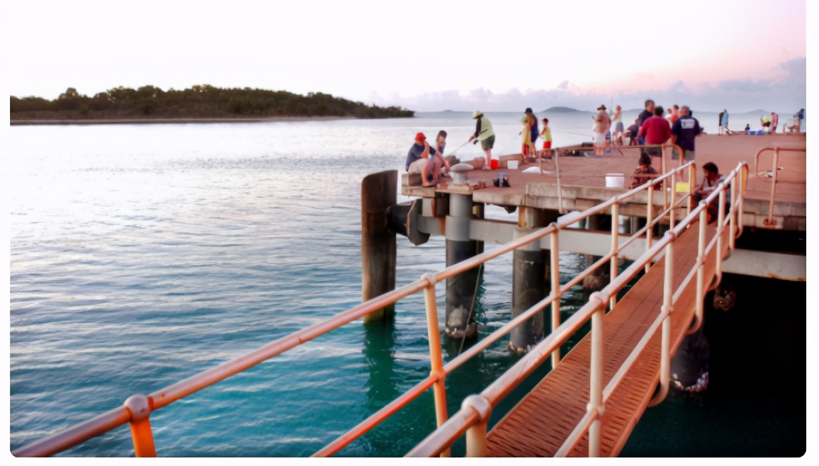 澳洲海滩出现全球最毒生物！一碰致命！已有1