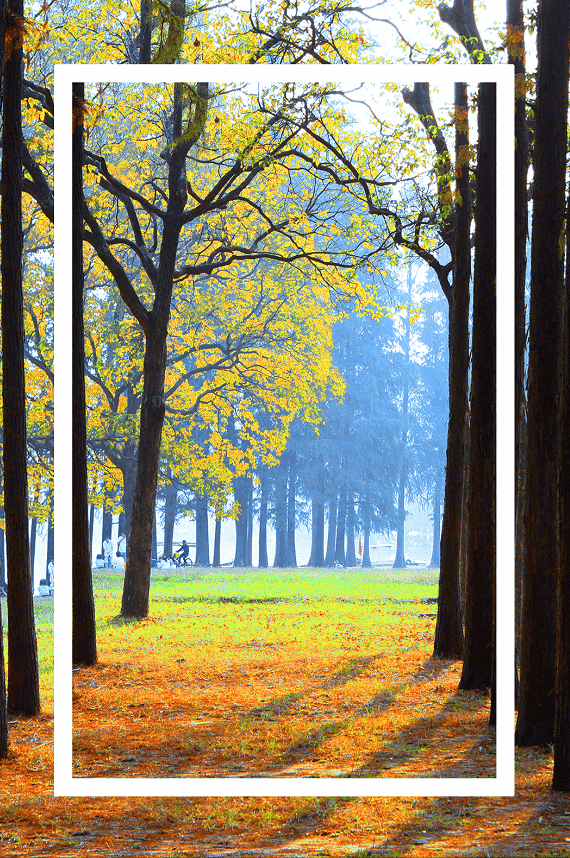 武汉这个漫长的秋天，是大自然馈赠的礼物啊