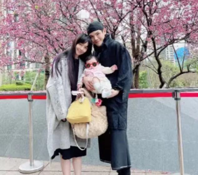 向太带郭碧婷逛街五个保姆跟随！暴瘦后老得厉害，向佐抱娃好无奈