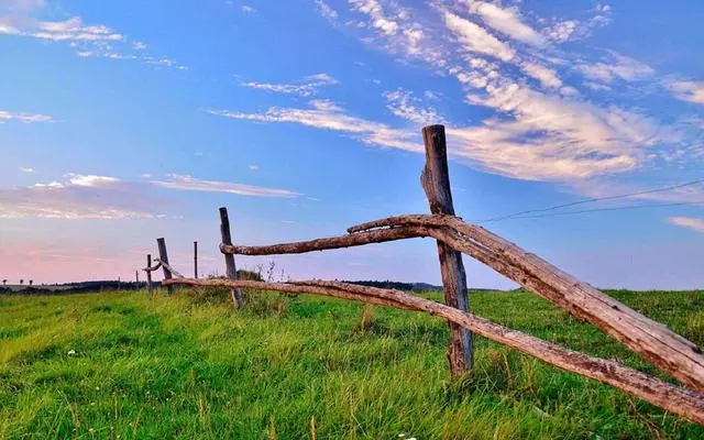 每日正能量——在时光深处，学会静静释怀