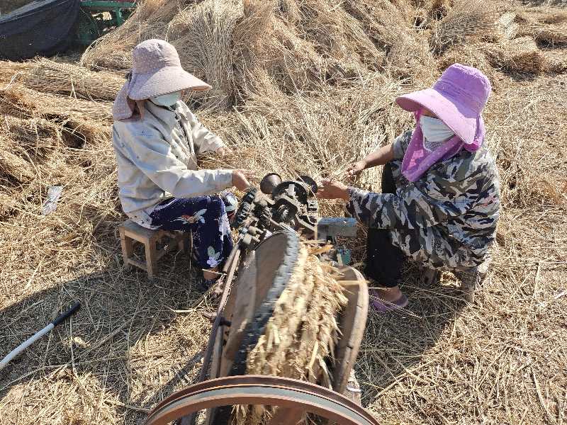 稻草|摄影师用镜头记录稻草帘、草绳制作全过程