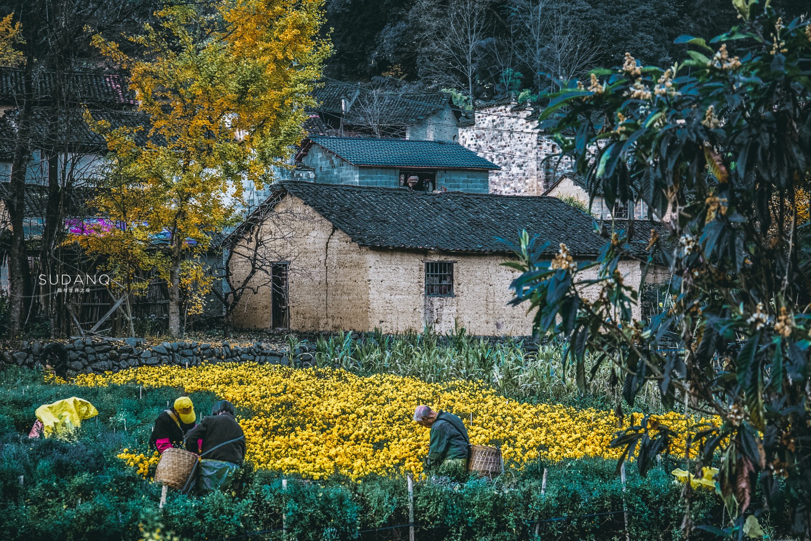 I've been obsessed with my life, I want to go to Huizhou: Recommend an ancient village that you have never heard of