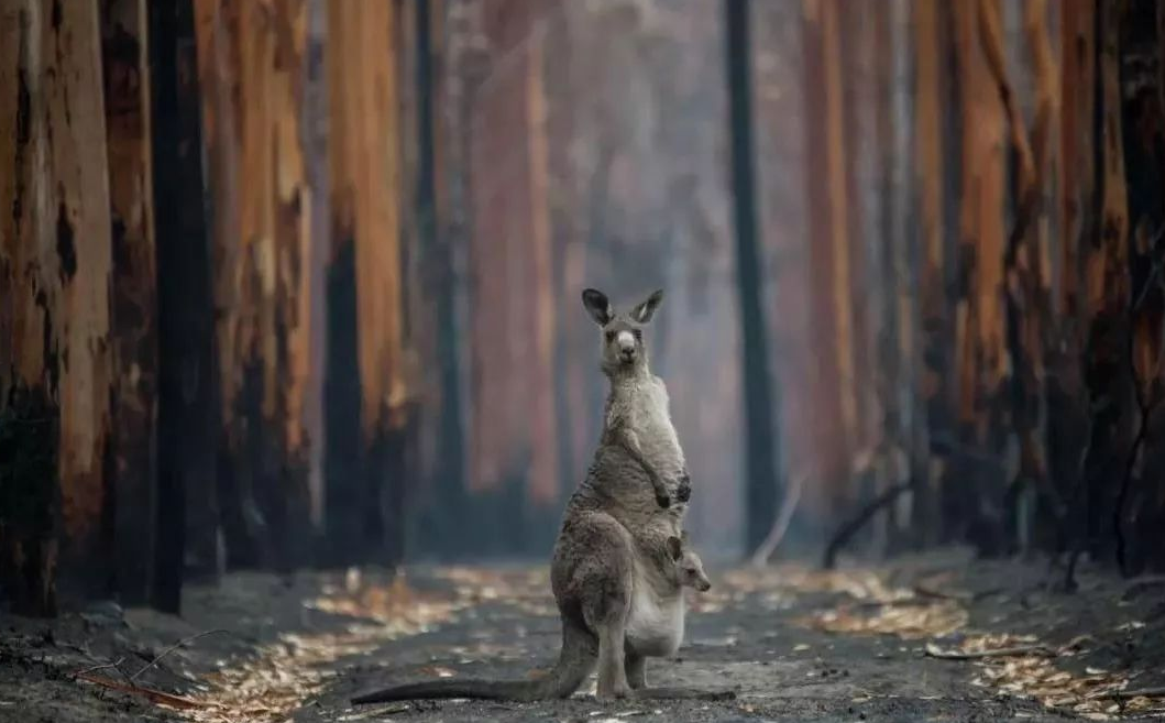 7月、8月咋過？6月高溫3連破，47.9度高溫襲擊北美，人類需警惕了