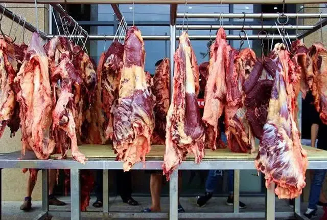 5月19日 行情（猪价喜迎二连涨，养猪大有前途，