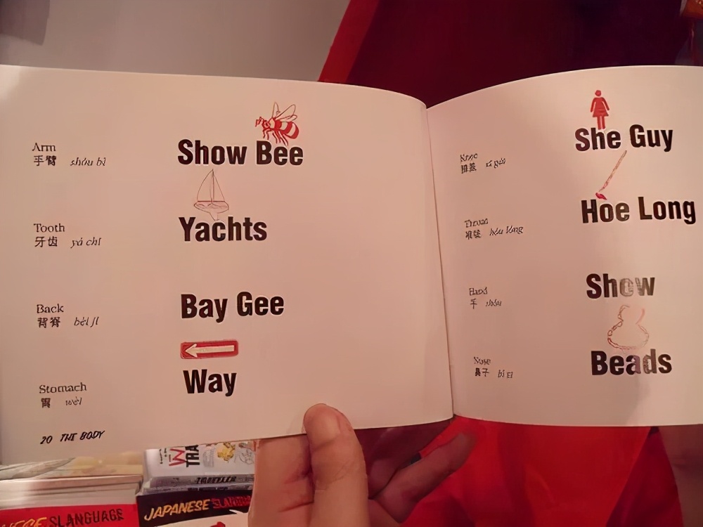 当法国人学了中文…| 丁真火遍国际，法国小哥竟以这种方式出圈