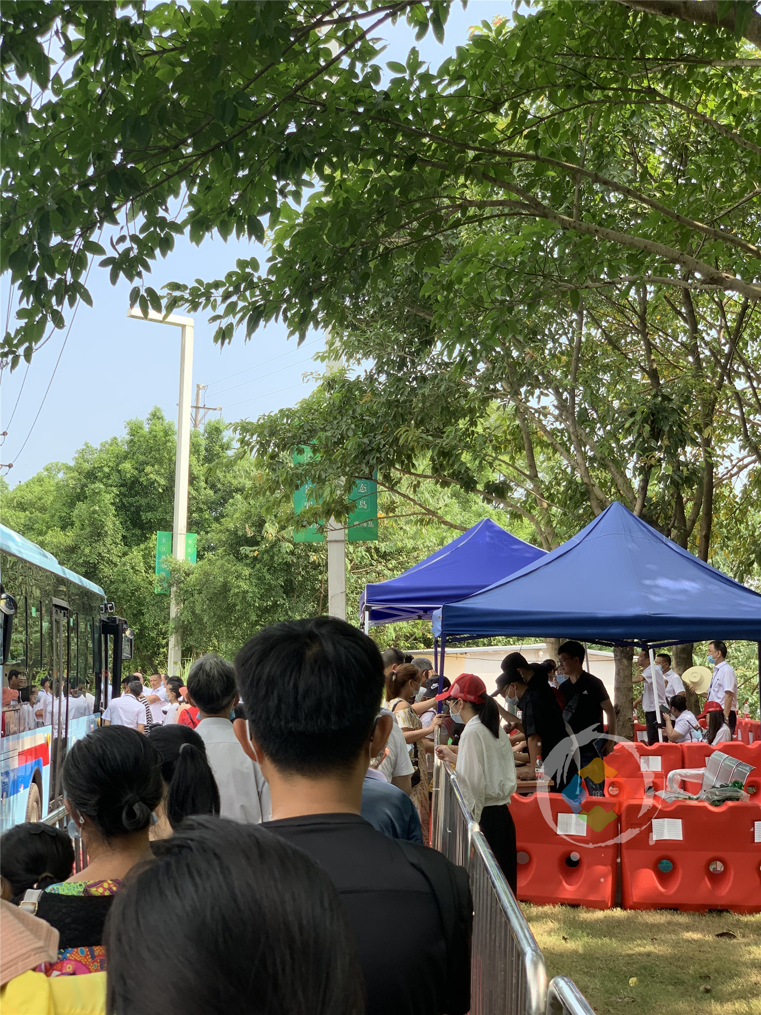 重庆广阳岛重新开放：入场免费，观光巴士只需10元，交通很便捷