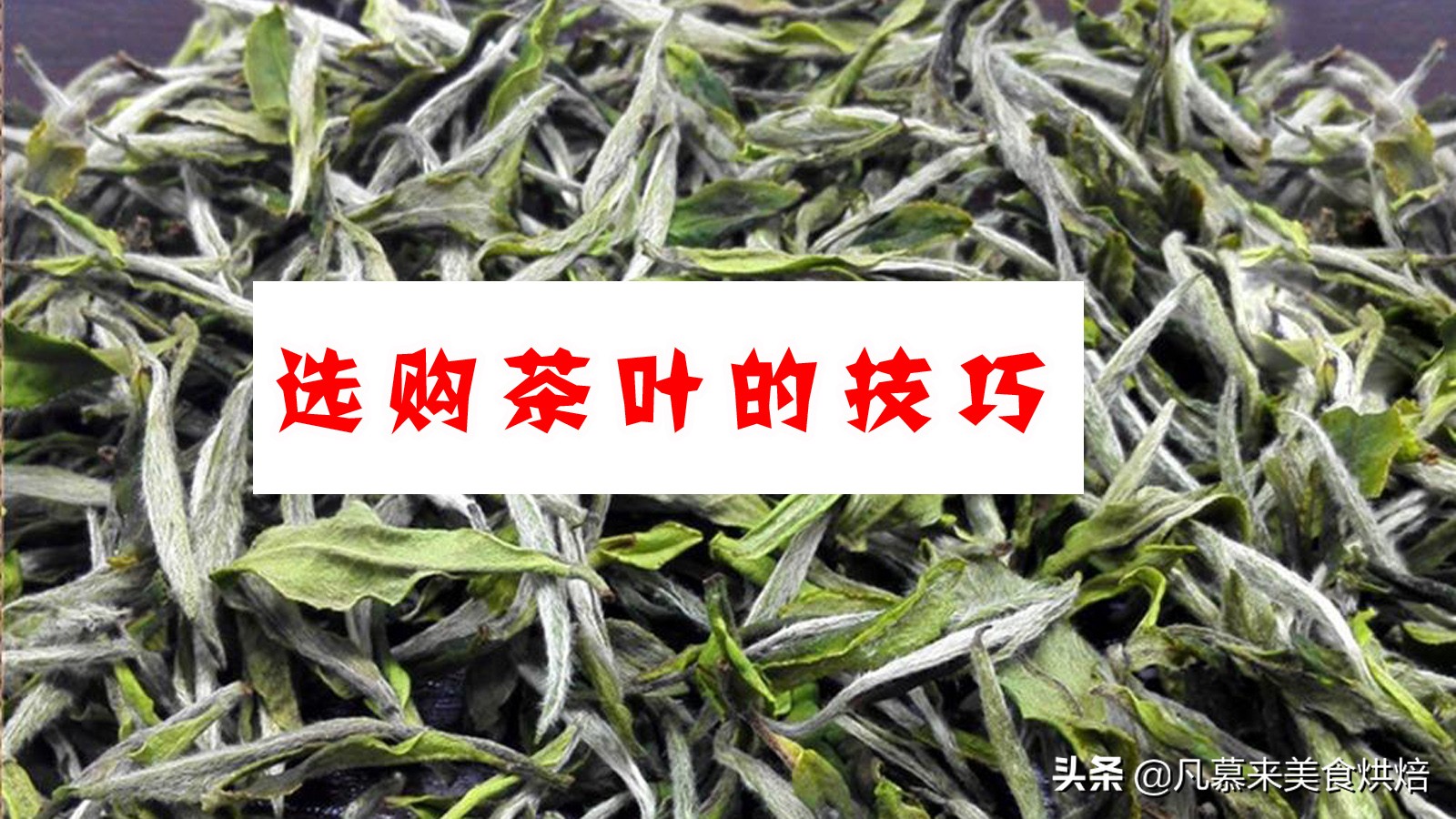 什么茶最好?茶叶品种?中国最好喝的30种名茶,如何选购茶叶