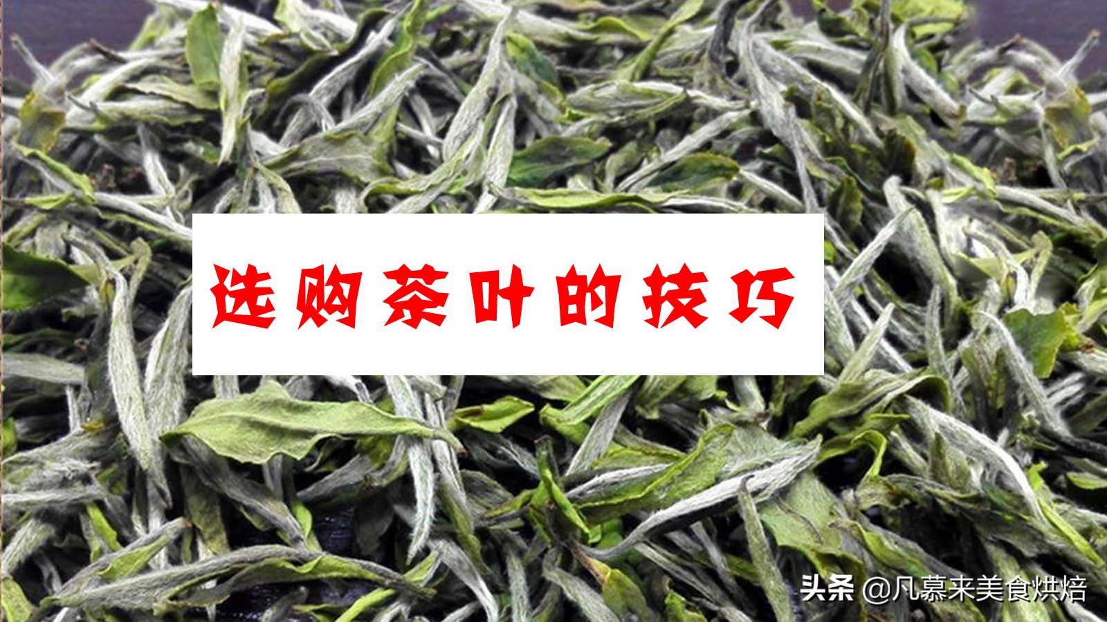 什么茶最好？茶叶品种？中国最好喝的30种名茶，如何选购茶叶