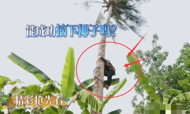 被指作秀？《向往4》来了点“颜色”，累瘫一众嘉宾