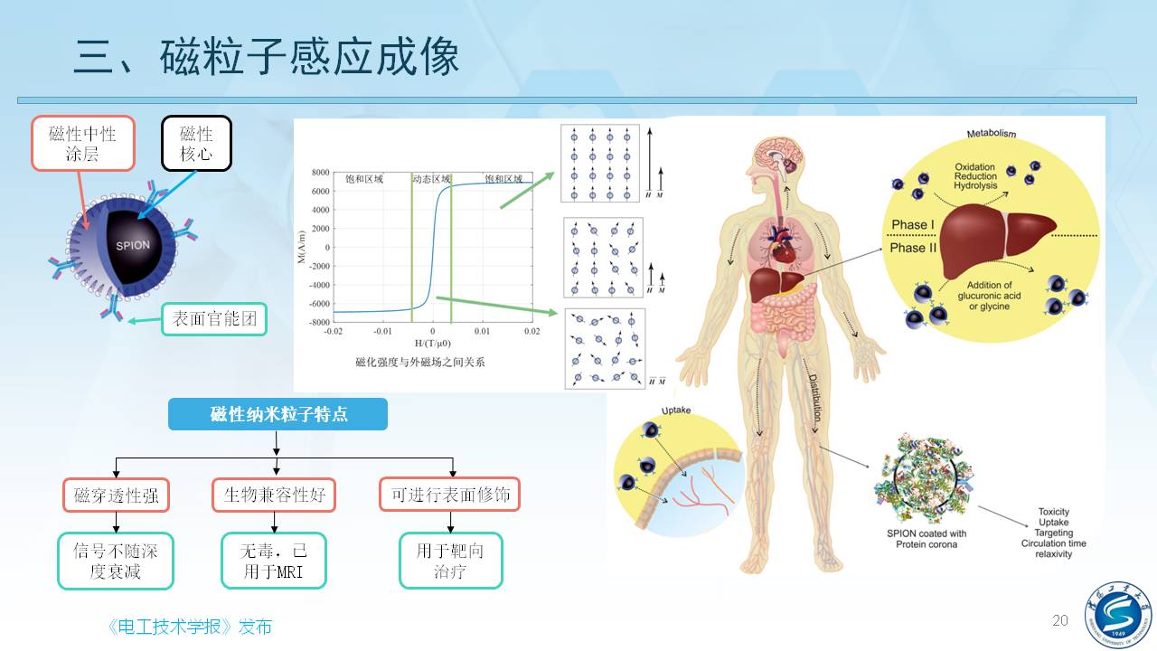 沈陽工業(yè)大學(xué)柯麗教授：感應(yīng)式顱腦電磁特性檢測與成像方法研究