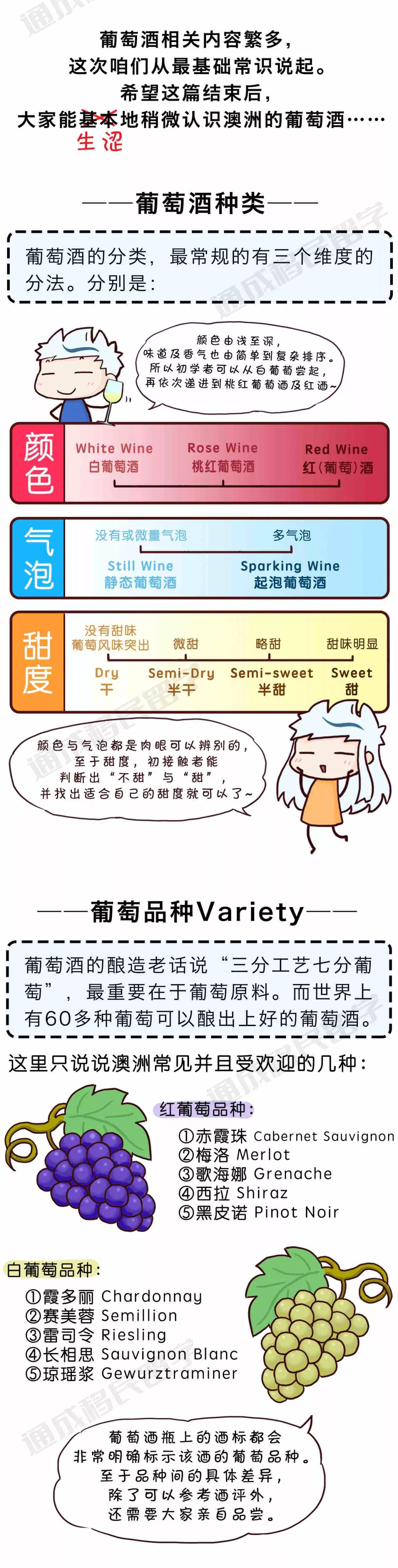 「通小成条漫」澳洲葡萄酒基础知识入门