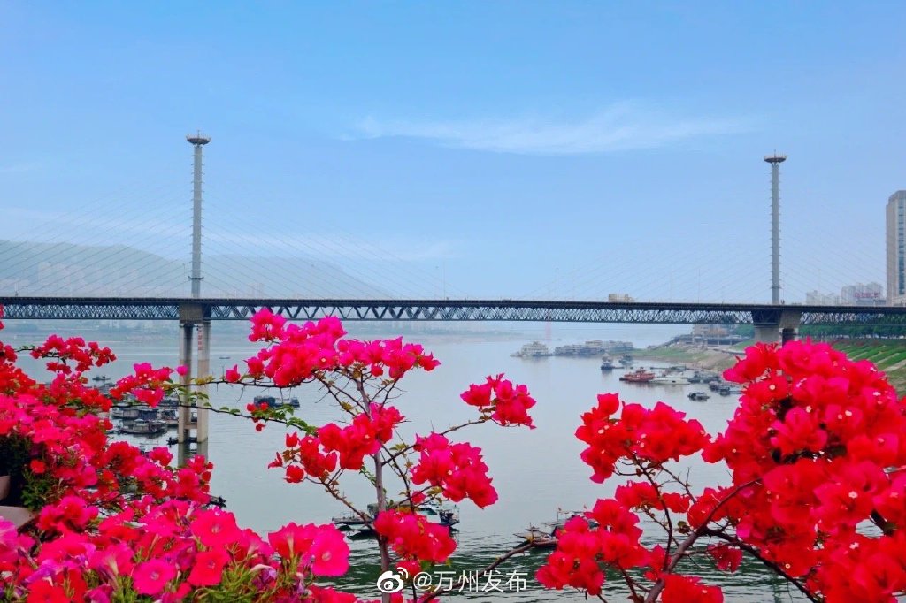 渝万高铁开通4周年，带动沿线发展，也让重庆人更了解万州