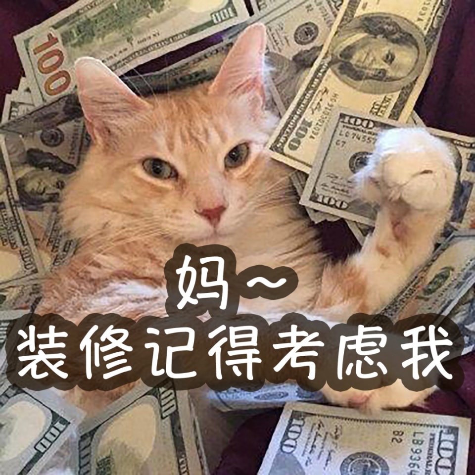 养宠家庭的“装修秘笈”┃ 东方一木科普