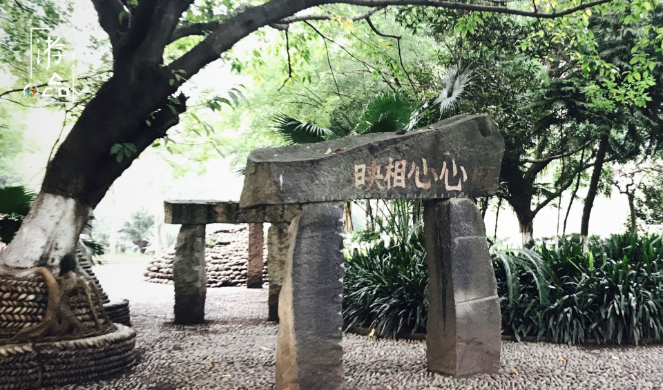 菜园坝有一座公园，曾见证无数重庆人结为夫妻，现在却臭气弥漫